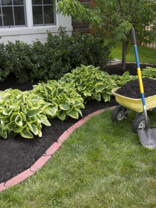 Me, Mulch & More Landscaping, LLC | Greer, SC